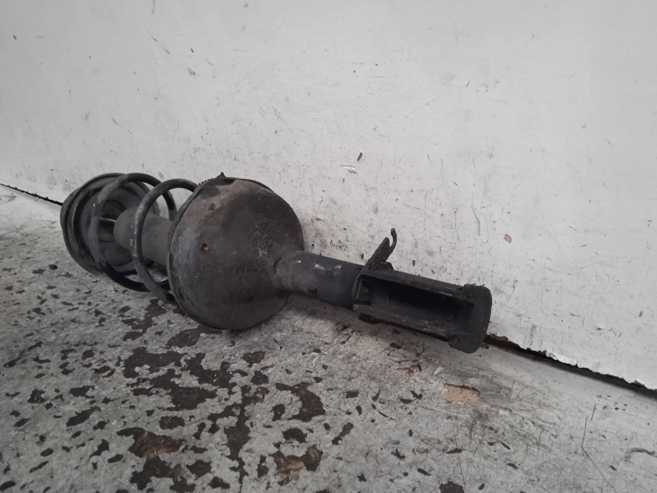 Ammortizzatore ant. sx.